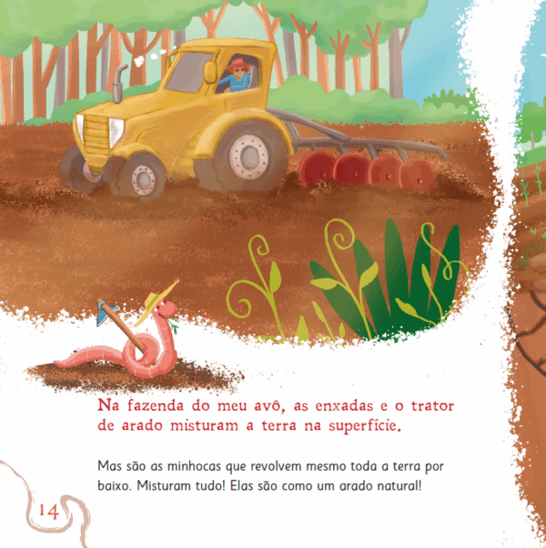 A natação das minhocas - Imagem 3